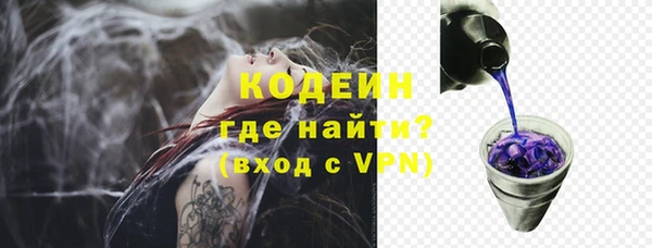 индика Верея
