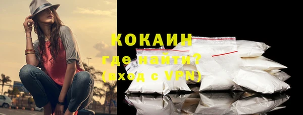 индика Верея
