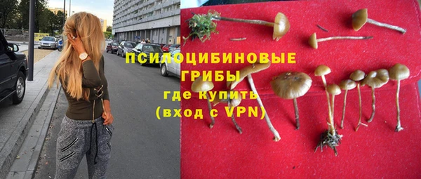 прущие грибы Волосово