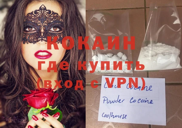 индика Верея