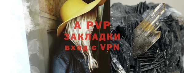прущие грибы Волосово