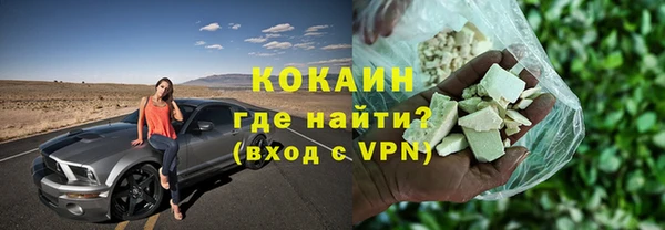 индика Верея