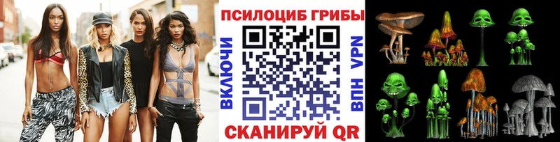 Галлюциногенные грибы Psilocybe  гидра зеркало  Вытегра 